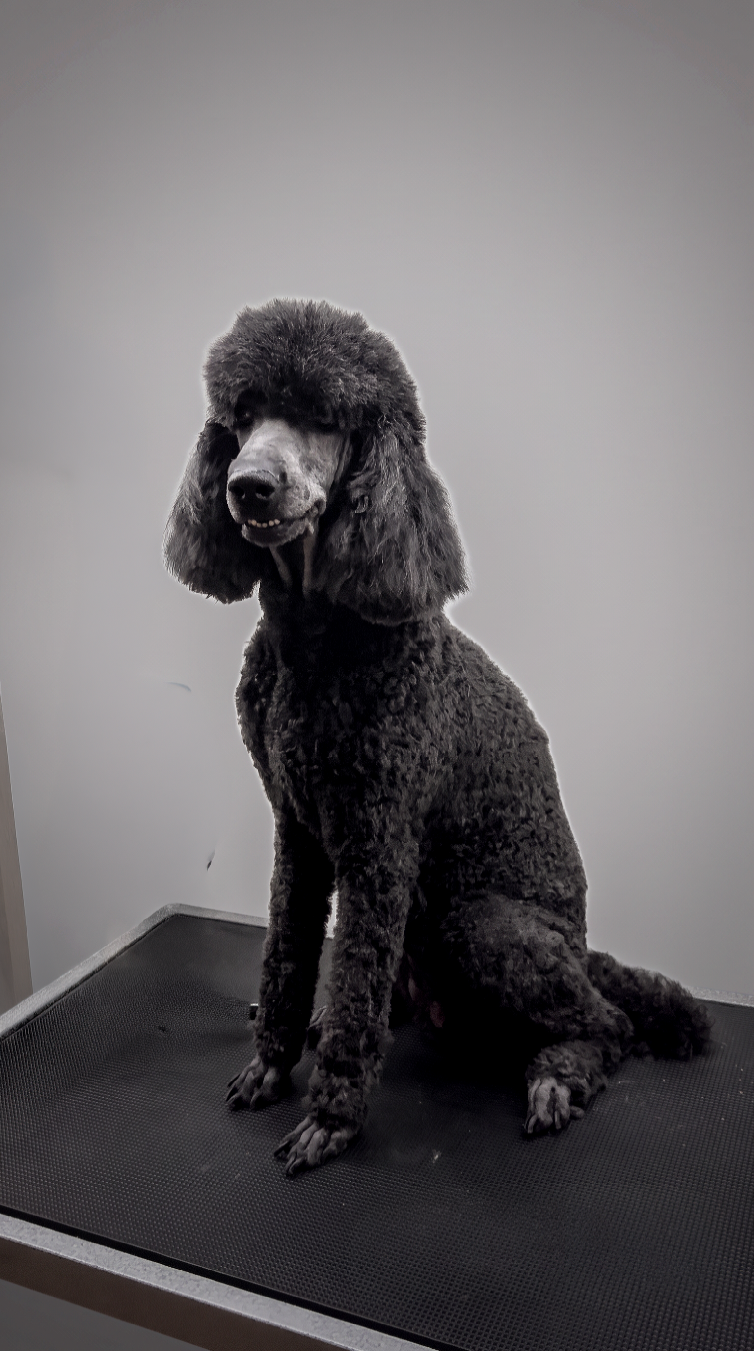 Full Groom Package